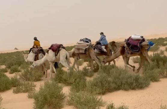 الانطلاق نحو الصحراء