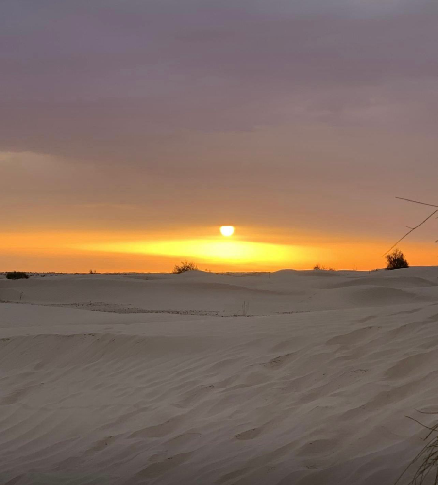 لحظة صحراوية 19