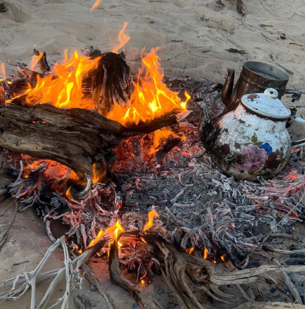 لحظة صحراوية 22